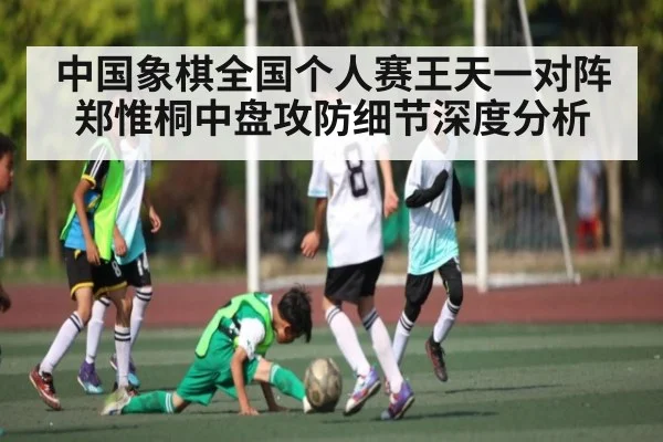 中国象棋全国个人赛王天一对阵郑惟桐中盘攻防细节深度分析