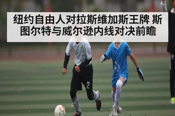 纽约自由人对拉斯维加斯王牌 斯图尔特与威尔逊内线对决前瞻