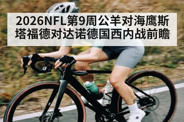 2026NFL第9周公羊对海鹰斯塔福德对达诺德国西内战前瞻