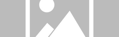 乐鱼app下载-意大利足球之衰（2）：政客们的游戏