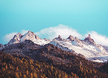 乐鱼-马德兴：上港情报疑似出问题 两大外援真尽力了吗？